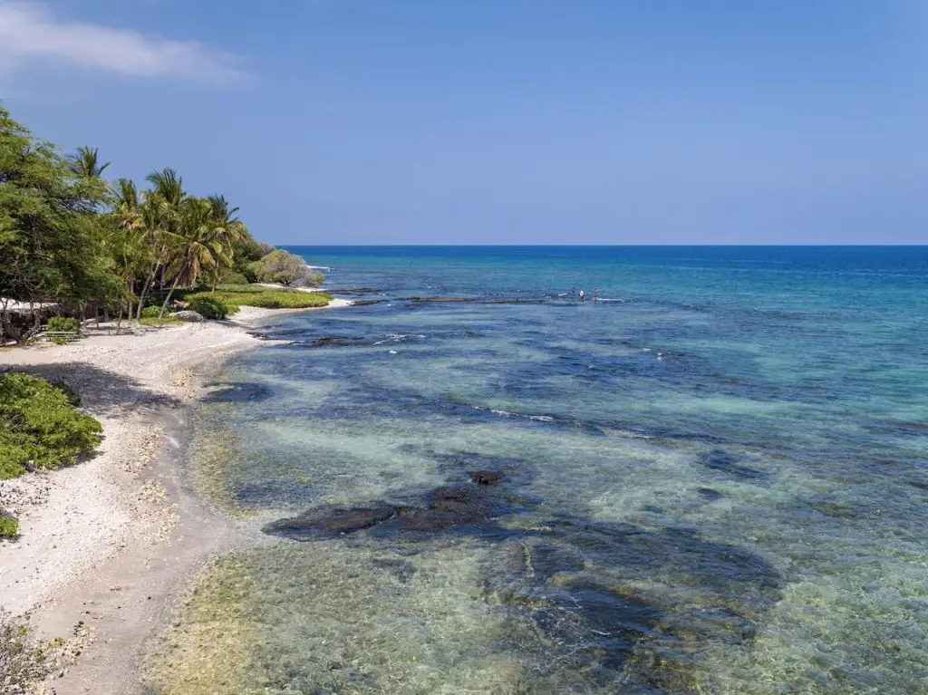 White Beach With Lots Of Corals In Kohala Coast