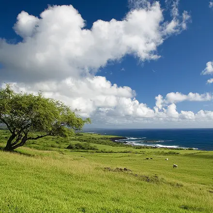 Puakea-Bay-Ranch-plains